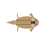 Appendage Surface: Front Fins